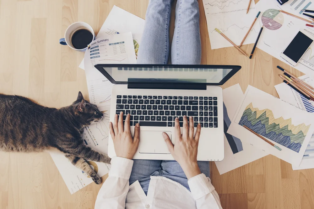 Sanal Ofis Nedir – Kurumsal İş Adresi ve Sekreterya
