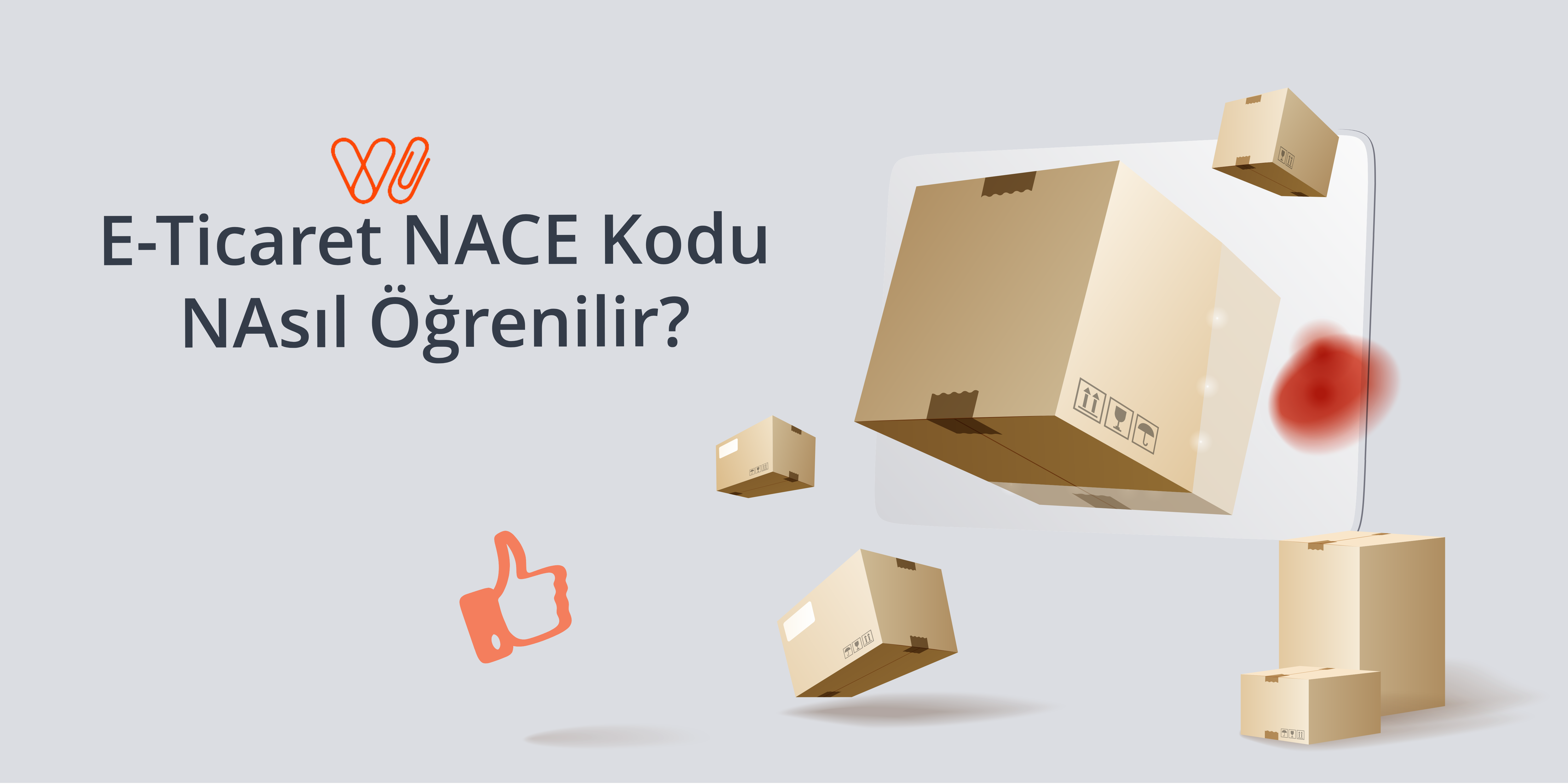 NACE Kodu Nedir? Nereden Öğrenilir?